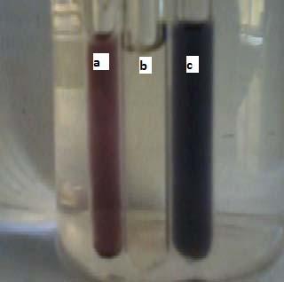 by 0.2 ml of extract at 100 ºC in 20 minutes whereas the same reaction in room temperature took 20 hrs.