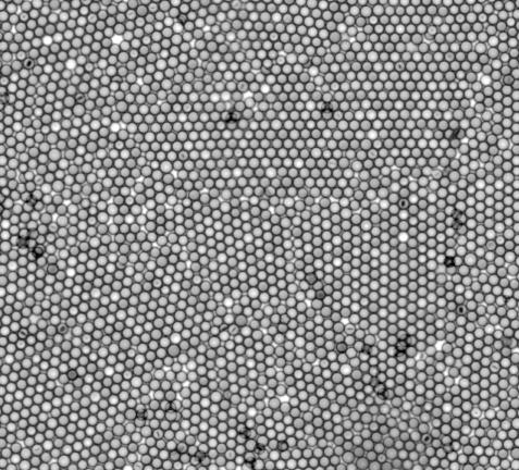 Examples of nanoparticles The list below shows a selection of nanoparticles synthesized in Syrris reactor systems and the unique advantages they have offered: Nickel nanocubes: Ability to accurately