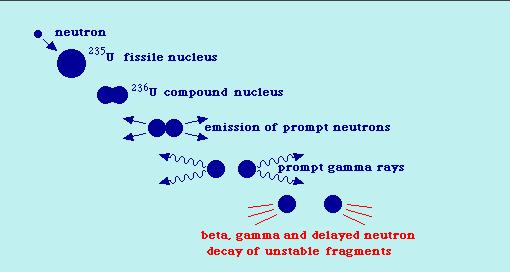 Remind: Neutron Induced Fission Neutron induced fission, n+ (Z,A) (Z,A+1)* (Z 1,A 1 ) + (Z1,A1) + n s is particularly effective for the following reasons: 1)neutrons are penetrating, 2)slow neutrons