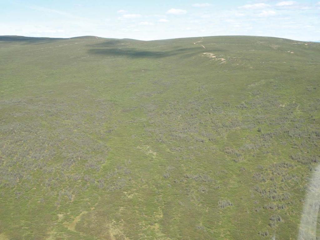 Photograph looking north-northeast from location along queried mapped fault of Grantz (96) that 