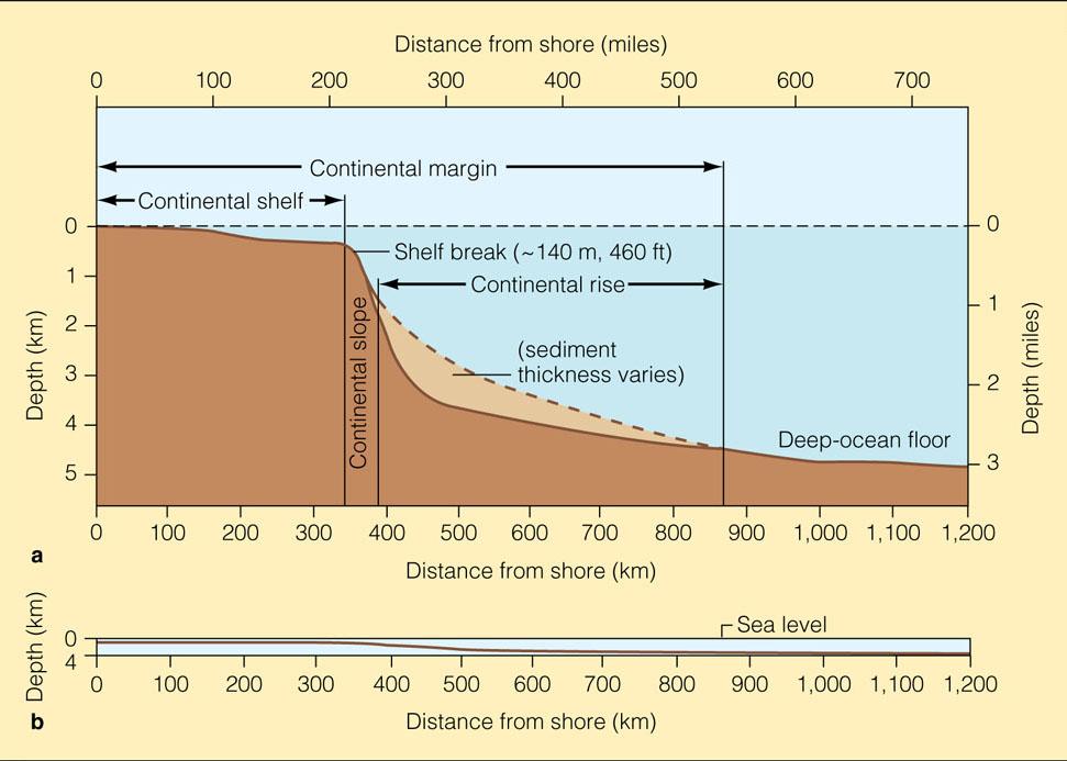slope: relatively steep surface seaward of the continental shelf Continental rise: gently sloping