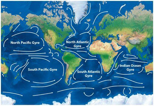 Ocean Currents Surface Currents Driven by prevailing winds The Coriolis Effect turns currents right in