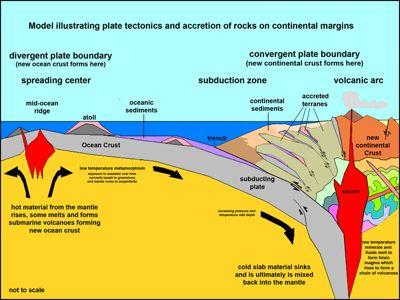 Active Continental Margins Exhibit active tectonics: Subduction zones or strike-slip faults