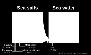 The salinity of seawater gas