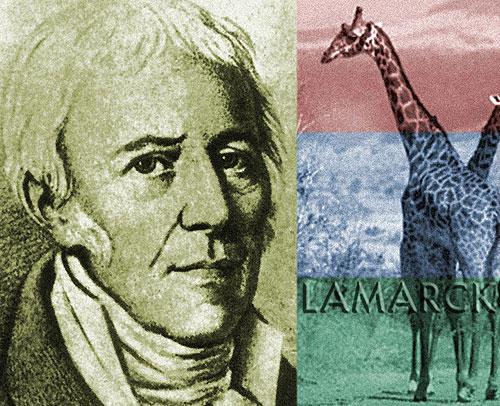 Ideas that shaped Darwin s thinking: Jean-Baptiste Lamarck (1809) was one of first scientists to recognize living things changed over time and