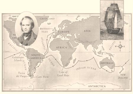Charles Darwin From 1831-1836 he was a naturalist on board the H.M.S.