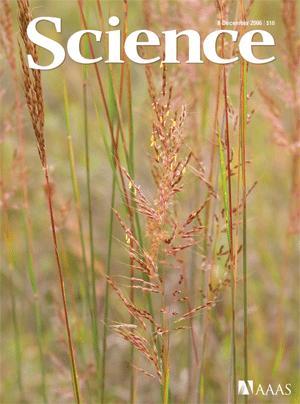 Questions? Biomass Analysis @ NREL Prairie grass to biofuels; featured in a recent issue of Science.