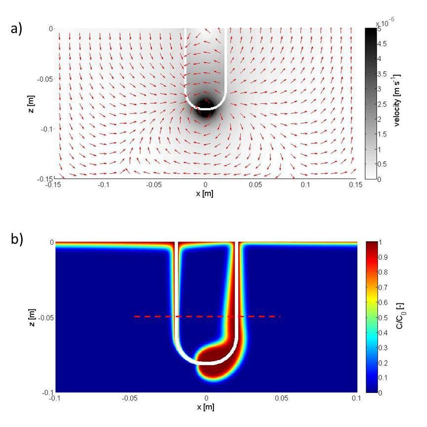 Figure 2: Flow velocity field (a) and normalized concentration distribution (ratio between sediment concentration C and concentration at the sediment surface C 0 ) of an inert tracer after 3600 s (b)