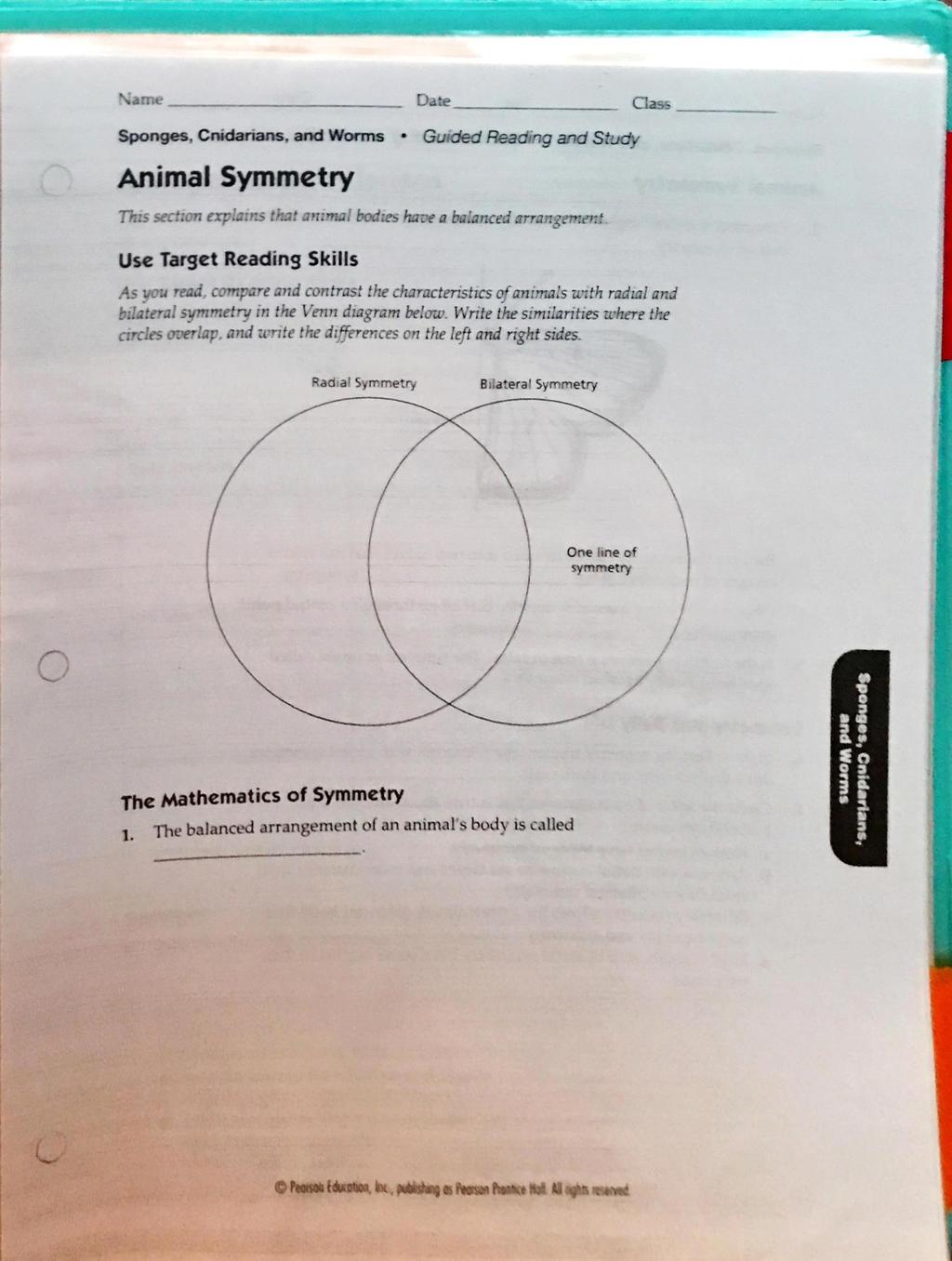 Name Date Animal Symmetry This sect:on explains that an:mal bodæs have a bilanced arrangemene Use Target Reading Skills As you read, compare and contrast the characteristics ofanimals With radul and