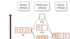 NO Free Radical Bonding MO mainly O s atomic orbital 180 * s The MO diagram for NO * p Energy p possible Lewis