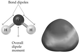 Polarity By adding the individual bond dipoles, one can determine the overall dipole moment for the molecule.