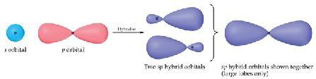 Hybrid Orbitals sp Hybrid Orbitals To explain geometries, we often assume that the atomic orbitals of an atom mix to form new orbitals called hybrid orbitals.