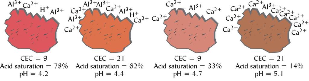 High Acid Saturation Promotes Low ph A B C D Acid saturation is closely related to soil ph Soil ph is less sensitive to the absolute acid cation concentration on exchange sites