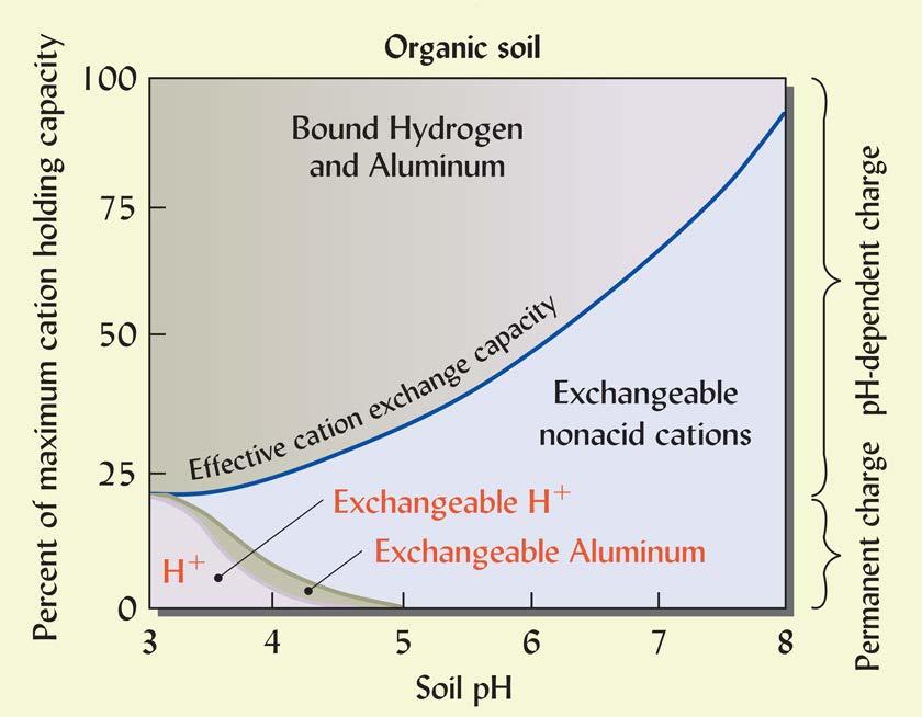 Relationship between ph and Exchangeable and Residual Acidity