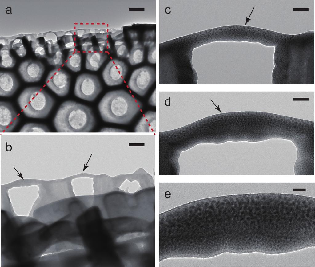 12. Layered structures in frustules of fresh diatoms without chemical treatments Figure S8. a) TEM image of the frustules of fresh diatoms (Coscinodiscus sp.) without any chemical treatments.