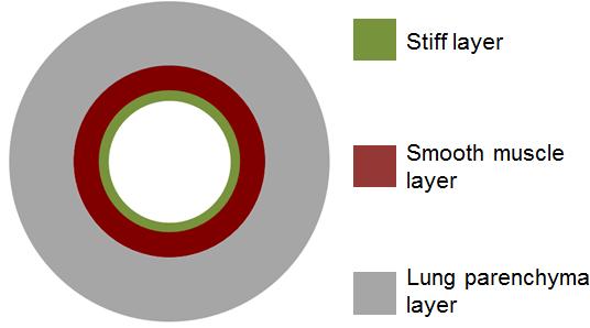 Figure 2.4: Simplified three-layer model of the airway In this assumption, the model is simplified into three layers. The inner-most layer is stiff in comparison to the softer middle layer.