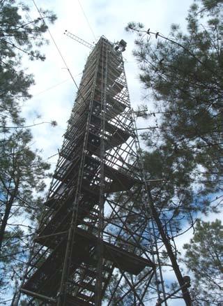 Forest emissivity: BRAY 2004 experiment: first long term TB exp. over a pine forest (Les Landes, INRA FLUXNET site) [Grant et al.