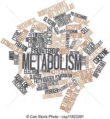 Cells require metabolic rewiring to Metabolic pathways