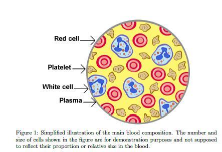 Blood viscosity Apparent blood viscosity depends on hematocrit level.