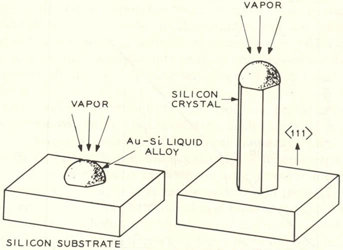 Vapor-Liquid-Solid (VLS) Growth of Si-Wire Si substrate with Au cluster is heated until liquid Au-Si alloy forms Si-vapor/Si-precursor impinges on surface and Si gets dissolved in Au-Si liquid