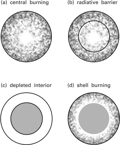 The four stages of deuterium burning 1. Active burning begins at the center 2. A radiative barrier appears 3. Radiative stability with interior depleted of deuterium 4.