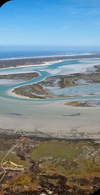 Criteria for Coastal Protection Zone The long term (100yr) risk projection Inclusive of Littoral active zones Properties that form part of the Coastal Public Property, e.g. Admiralty Reserve Protected Areas All ecologically sensitive areas directly linked to the shoreline Wetlands, lagoons, etc.