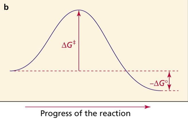 Energy of Activation ( G ) (kinetics) The free