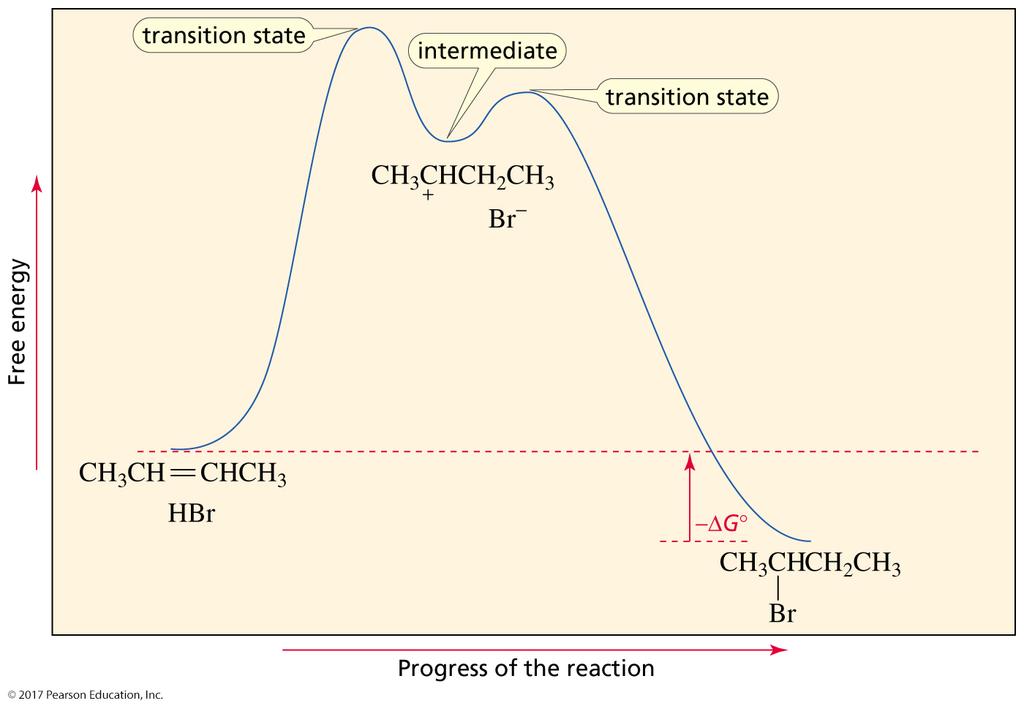 Reaction Coordinate Diagram for the Addition of HBr to 2-Butene G kinetics another G kinetics thermodynamics: The rate-limiting step has its