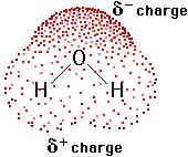In a polar covalent bond, the electrons shared by the atoms spend a greater amount of time, on average, closer to one of the nucleus