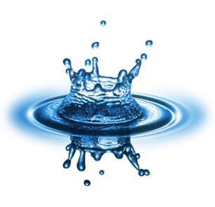 Water Water is the most abundant molecule in the body.