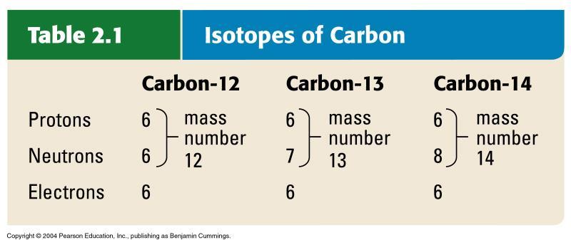 Isotopes atoms of a particular element that have the same # of protons and electrons but a different # of neutrons and therefore a different atomic mass. a. Atoms with too many or too few neutrons are considered unstable (unbalanced).