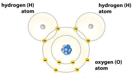 How many hydrogen atoms in the reactants and in the product? How many oxygen atoms in the reactants and in the product?