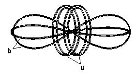 structure but in shape of double folded torus. More accurately the plane projection of the proton envelope is quite close to a Hippoped curve with a parameter a = 3.