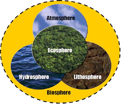 Ecological Organization (Biotic & Abiotic) Ecosystem All the living (biotic) & nonliving (abiotic) factors interacting