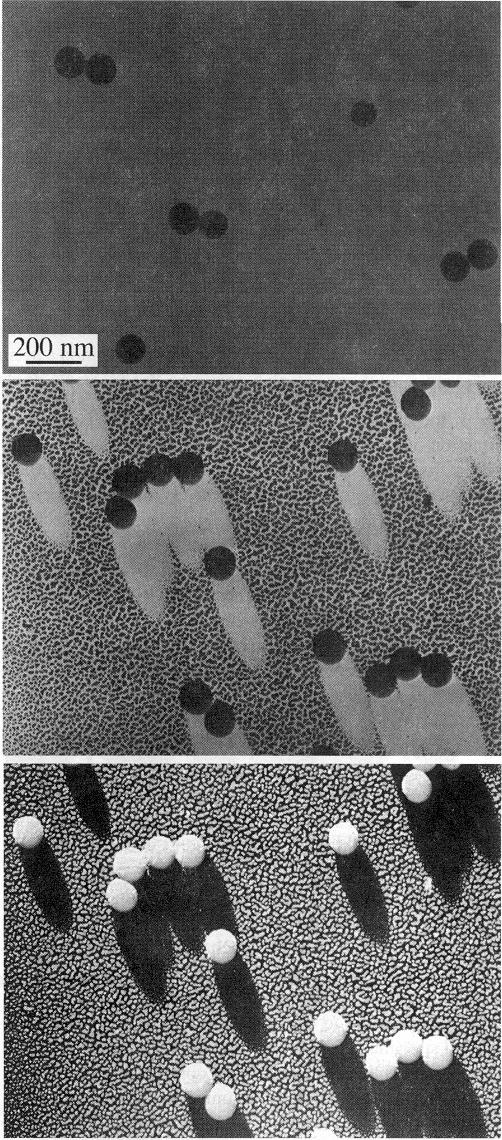 Backgrounds to nanotechnology Imaging in TEM Bright field image