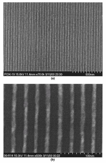 27 nm period lines exposed in 30 nm HSQ resist on Si; (a) overall gratings and (b) higher magnification view of