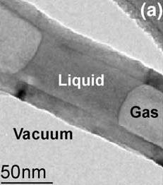 Liquid-filled carbon nanotube Low magnification TEM micrographs showing a