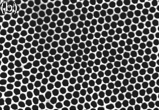 Self-organization of pores in anodization of aluminum