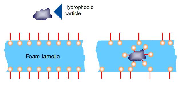 Figure 2-9 Defoaming through hydrophobic particles 39 Another defoaming mechanism is through hydrophobic particles. A defoaming agent is driven into the lamella.