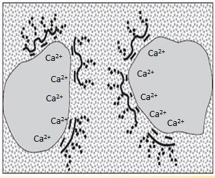 Figure 2-10 Effect of dispersing admixtures in breaking up cement flocs 31 Polycarboxylate ether (PCE) with the copolymer between carboxylic group (it is normally neutralized as the sodium salt and