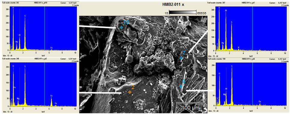Figure 6: Left: SEM image of HM-15. Right: Graph produced by SEM indicates an abundance of Si and Ti in HM-15. An eruption in 2008 at Halema uma u Crater ejected rock from deep within the volcano.