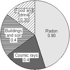 Q2. The pie-chart shows the average radiation dose that a person in the UK receives each year from natural background radiation. The doses are measured in millisieverts (msv).