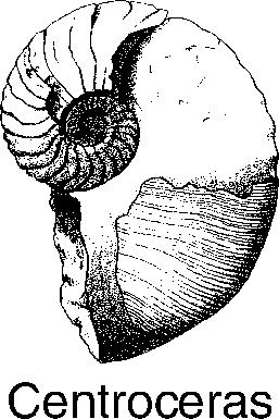 Base your answer(s) to the following question(s) on the Earth Science Reference Tables and on your knowledge of Earth science. Trilobite fossil remains are most likely to be found in bedrock of A.