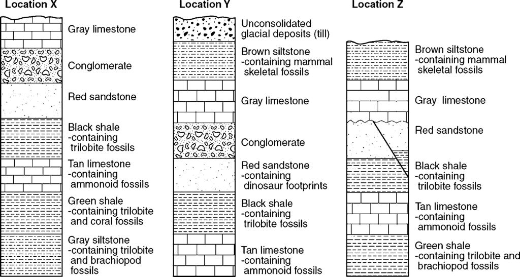 2. Base your answer(s) to the following question(s) on the cross sections below, which show widely separated outcrops at locations X, Y, and Z. Which rock layer is oldest? A. gray siltstone B.