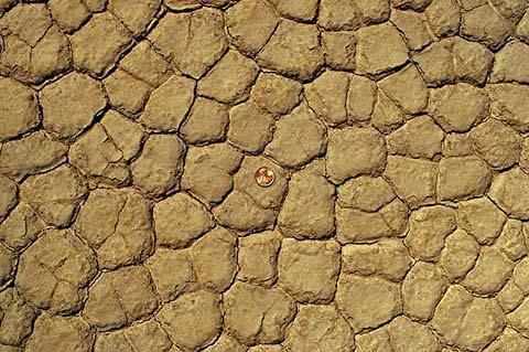 DESICCATION FEATURES (mudcracks and raindrop craters) mudcracks, Precambrian,. N. Montana mudcracks, in Death Valley http://www.