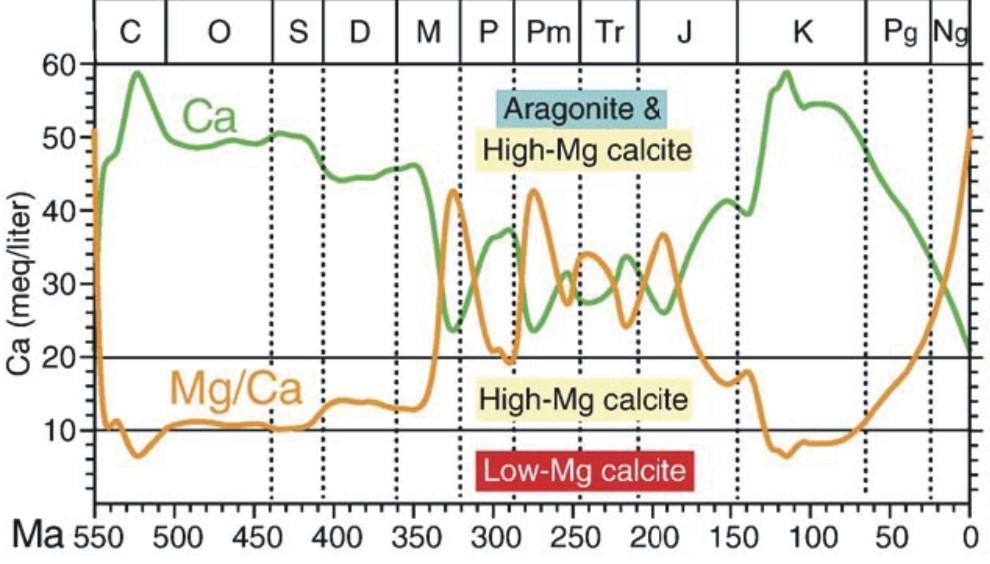 Ocean Chemistry Changes Most marine animals make shells from calcium carbonate (CaCO 3 ) Increase in Ca concentration during