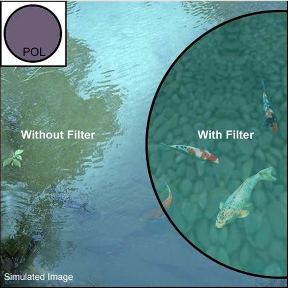 Application < > polarization filters in