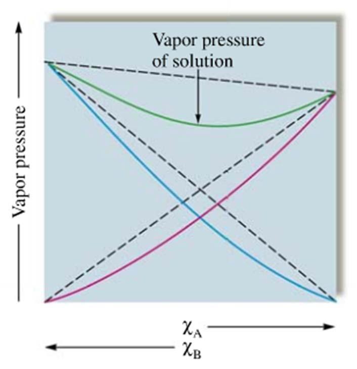Negative Deviations from Raoult s Law Observed vapor pressure is lower than expected If the solvent has a strong affinity for the