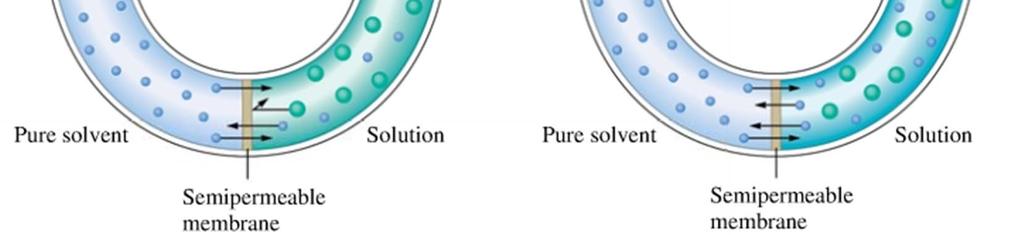 causing a net transfer of solvent molecules into the solution As the solution level rises, the resulting pressure forces