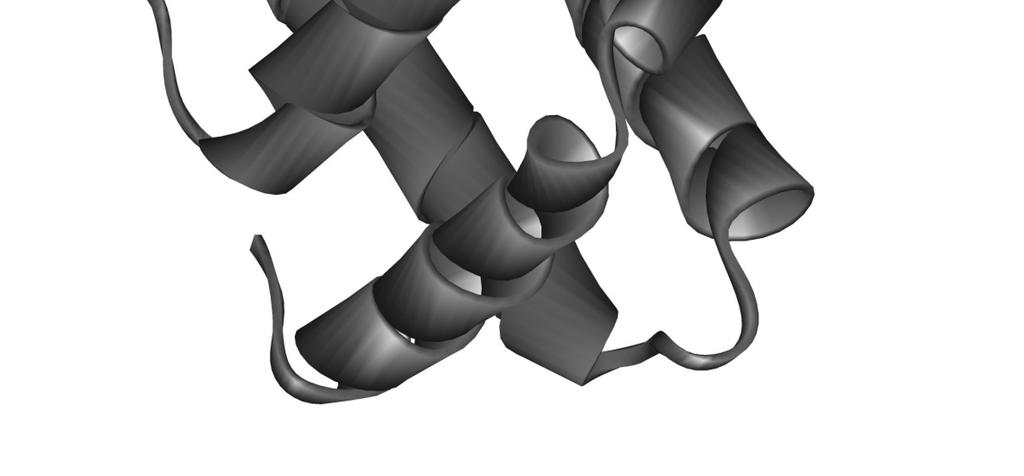 A three-dimensional model of the myoglobin molecule obtained by x-ray
